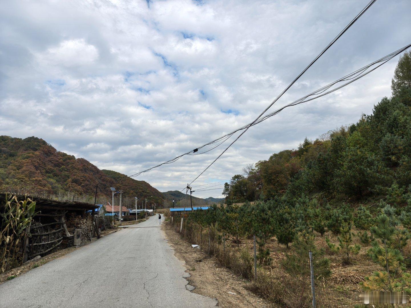 郊外转，带八公吃顿农家乐。 ​​​