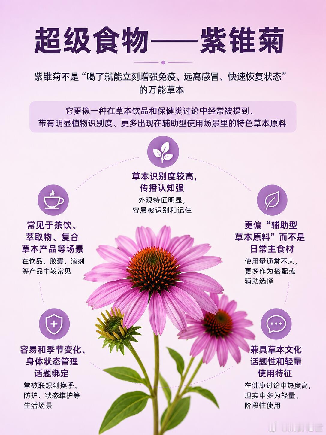 超级植物——紫锥菊｜到底是什么？紫锥菊（Echinacea）是菊科植物，常见品种