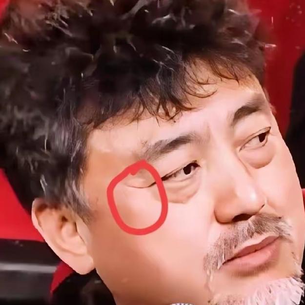家人们，导演赵林山说不定能成下一个张纯如！有人说他脸上有“阴德纹”，我特感慨——