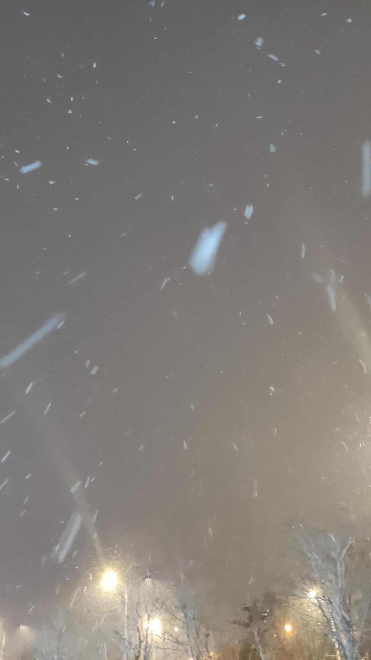 今年冬天的不同大雪🌨️🌨️🌨️🌨️🌨️🌨️🌨️