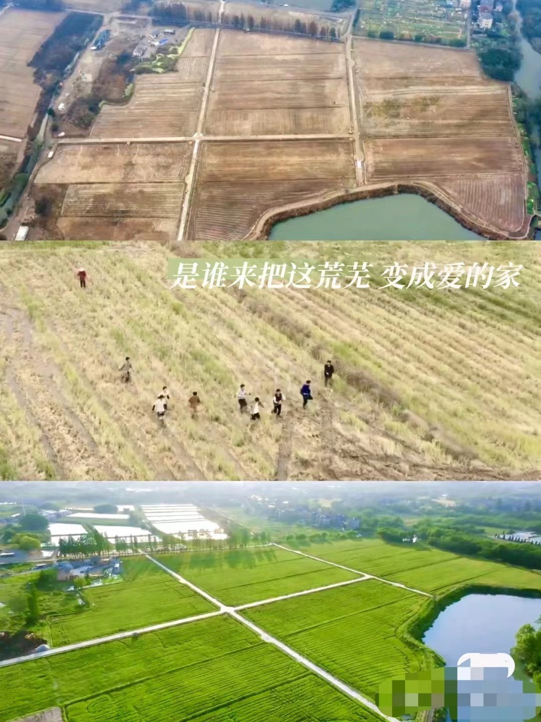 强者从不抱怨环境，身先士卒勇于担当，带着必胜的信心与决心，做难事苦事，真是知性少