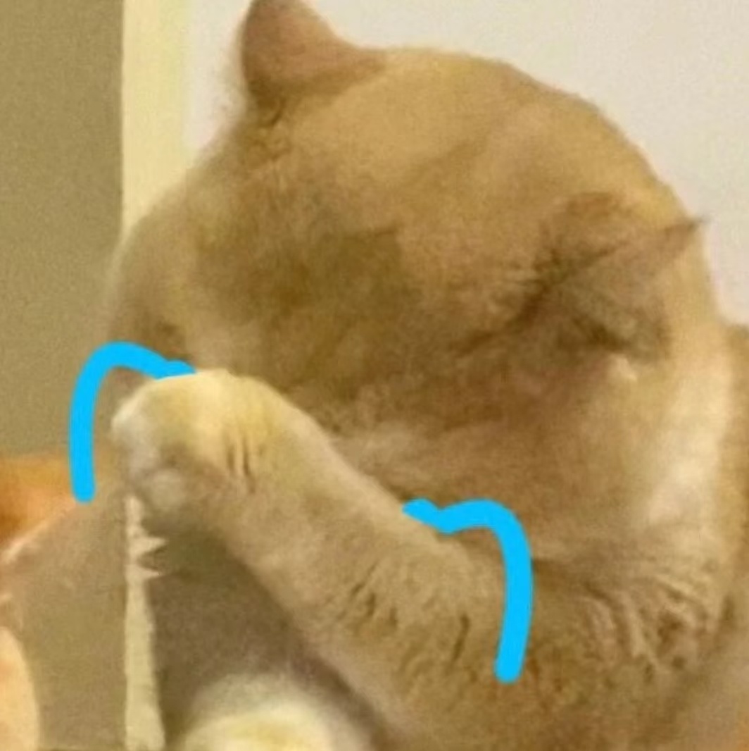 不行了 看完小钻石写的信 写的真的太好了 完全就是我的心声啊 我真的泪流满面了?