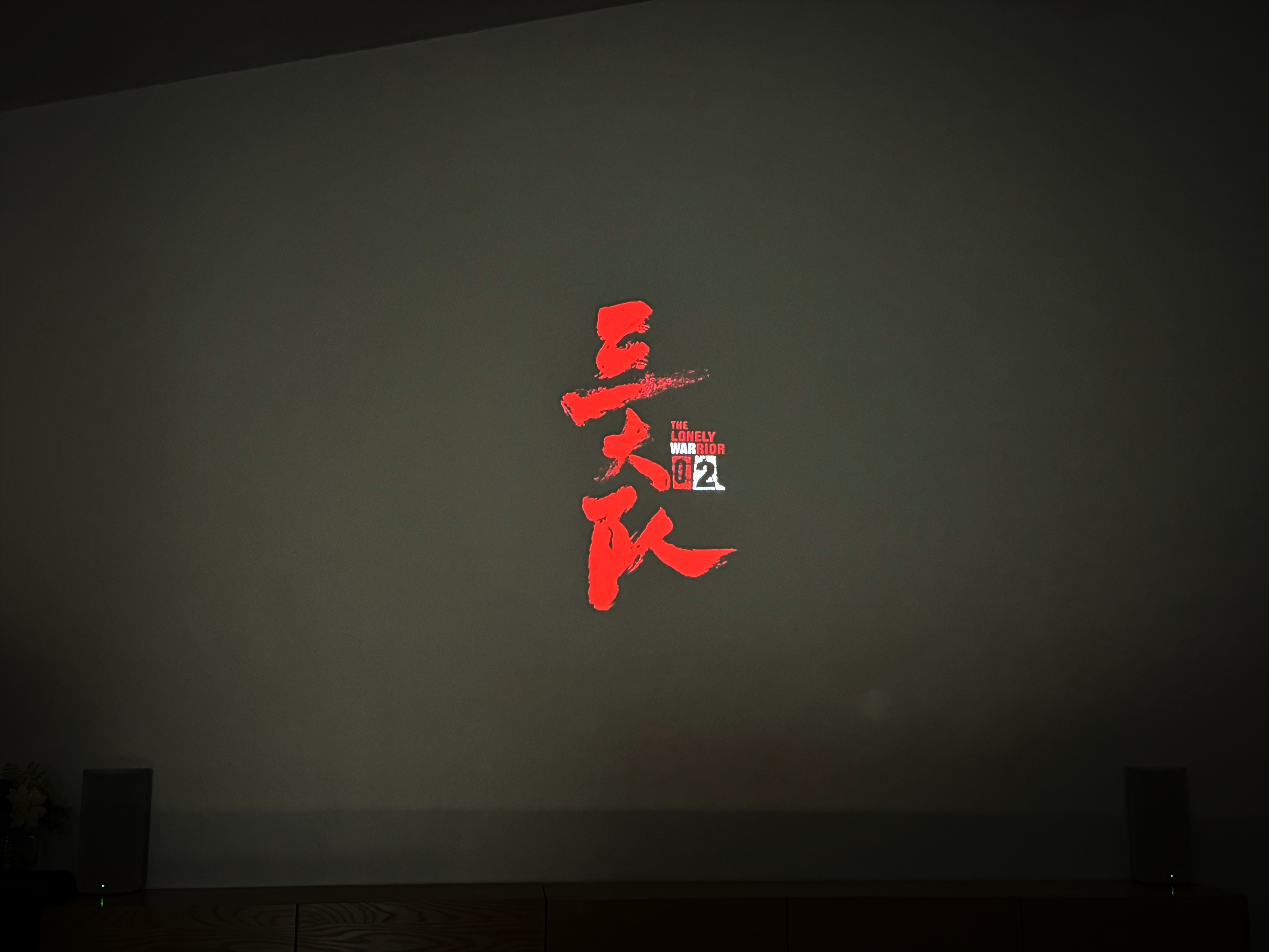开始看《三大队》 ​​​