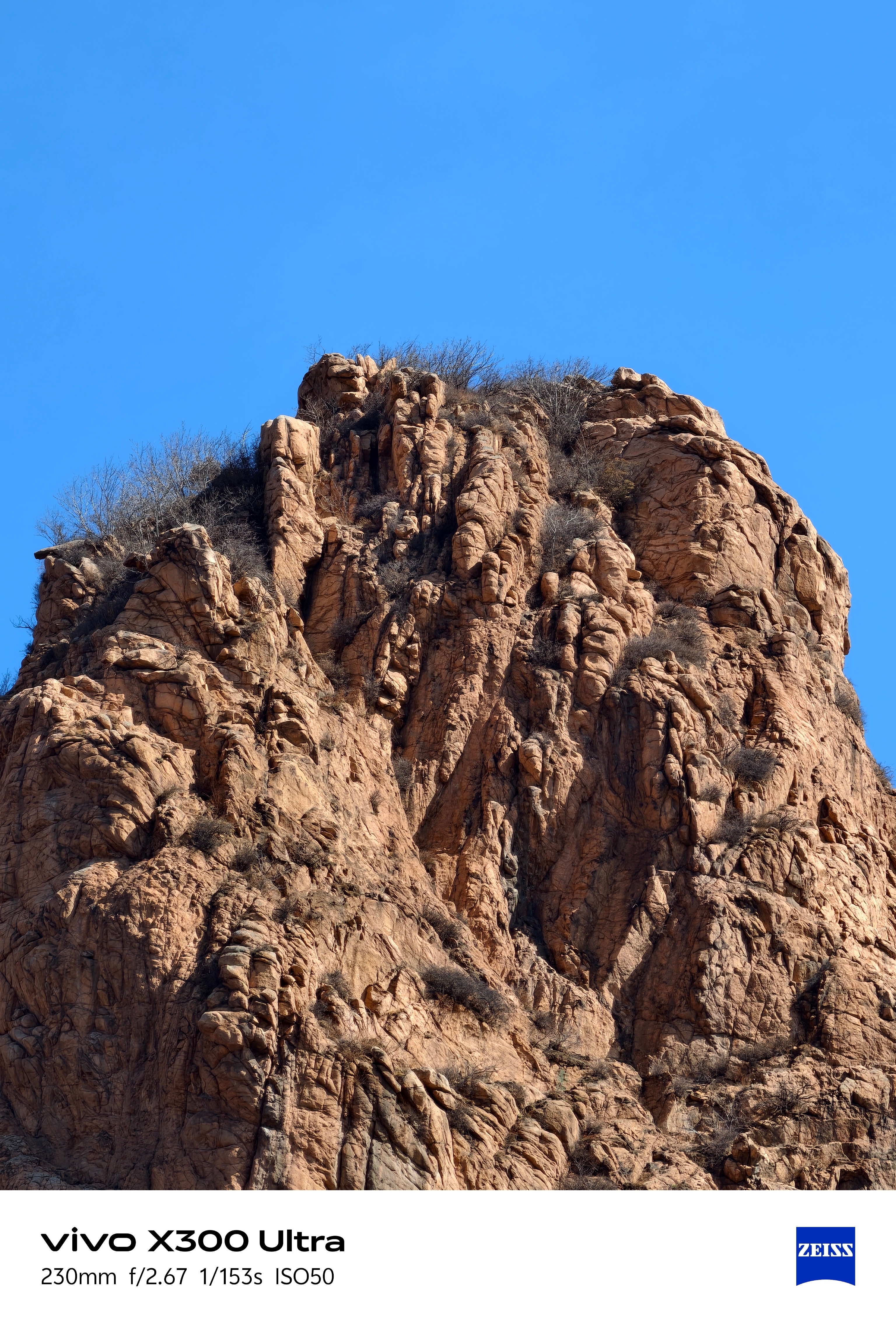 冷知识：vivo X300 Ultra 没有增距镜也能用。 