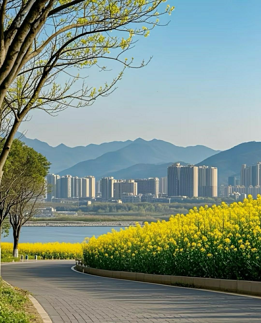 终于有人把感恩这件事说清楚了
很多人都听过这套说法：想要人生越来越好，就要坚持写