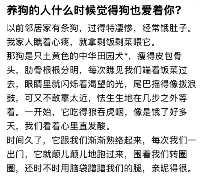 养狗的人什么时候觉得狗也爱着你？ ​​​
