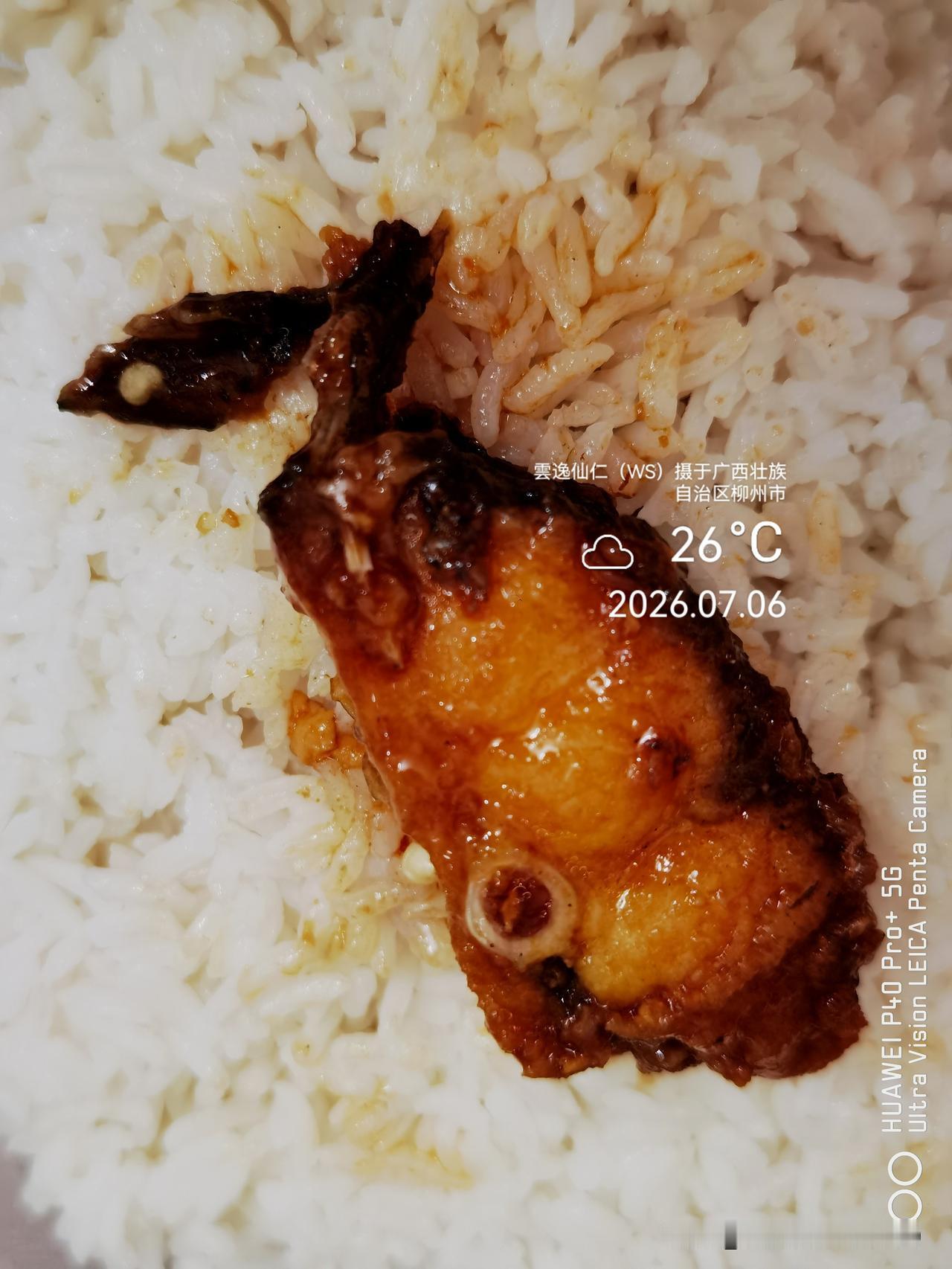 月居生活记录（10108）广西壮族自治区柳州市（145）品尝小吃38：招牌豆腐焖