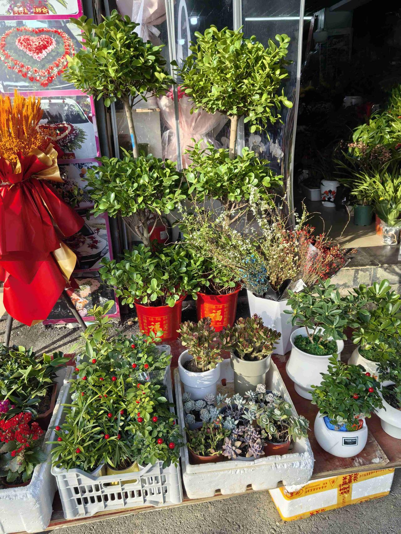 带定位晒今日生活 今天心情超轻松愉快，鄂州这大晴天简直加分！今晨 6 时气温 1