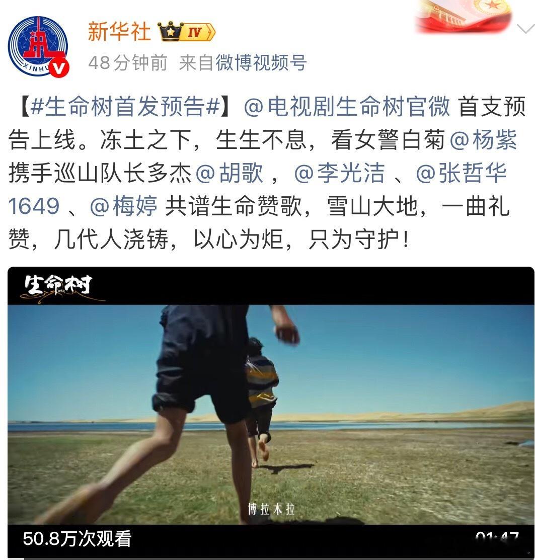 说了小树会压轴稳稳妥妥的 ​​​
