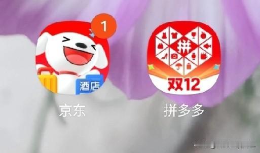 2024年之前，我一直都是京东的包年会员，别说使用拼多多，我连拼多多都没有下载。