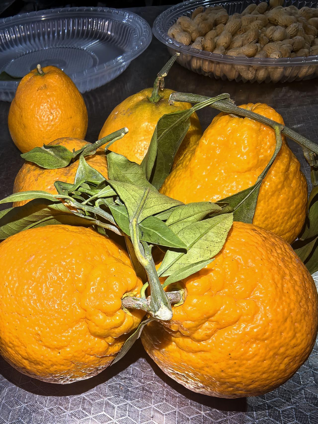 冬日生活打卡季今年的柑橘不好吃，但软，价格也便宜，摊贩上1.5，超市里优惠价居然