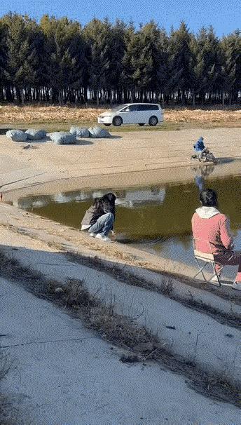 1 天呐！这女的是个高手！[震惊]
2 天太热了，凤雏卧龙一起吹风扇。
3 这项