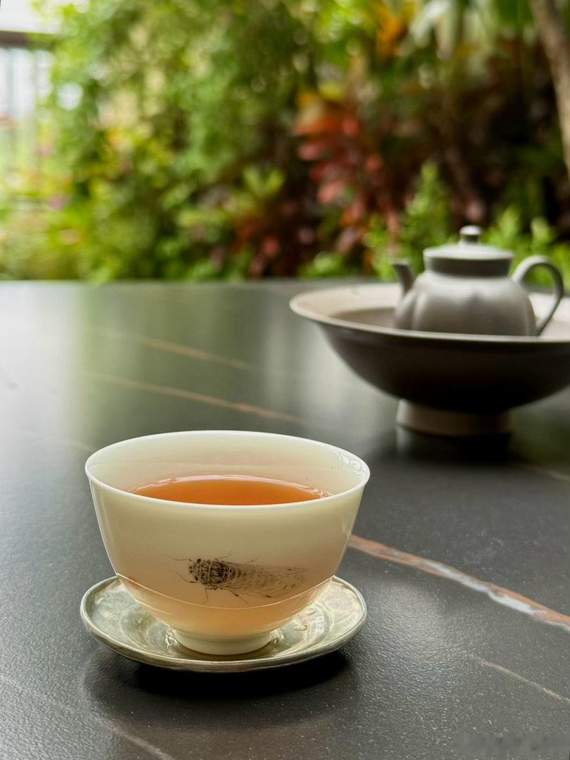 此次六堡镇之行，发现六堡茶的四个问题：原种茶树台地化管理、杀青过度、干燥温度过高