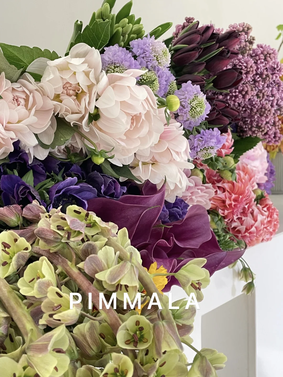 PIMMALA｜周一