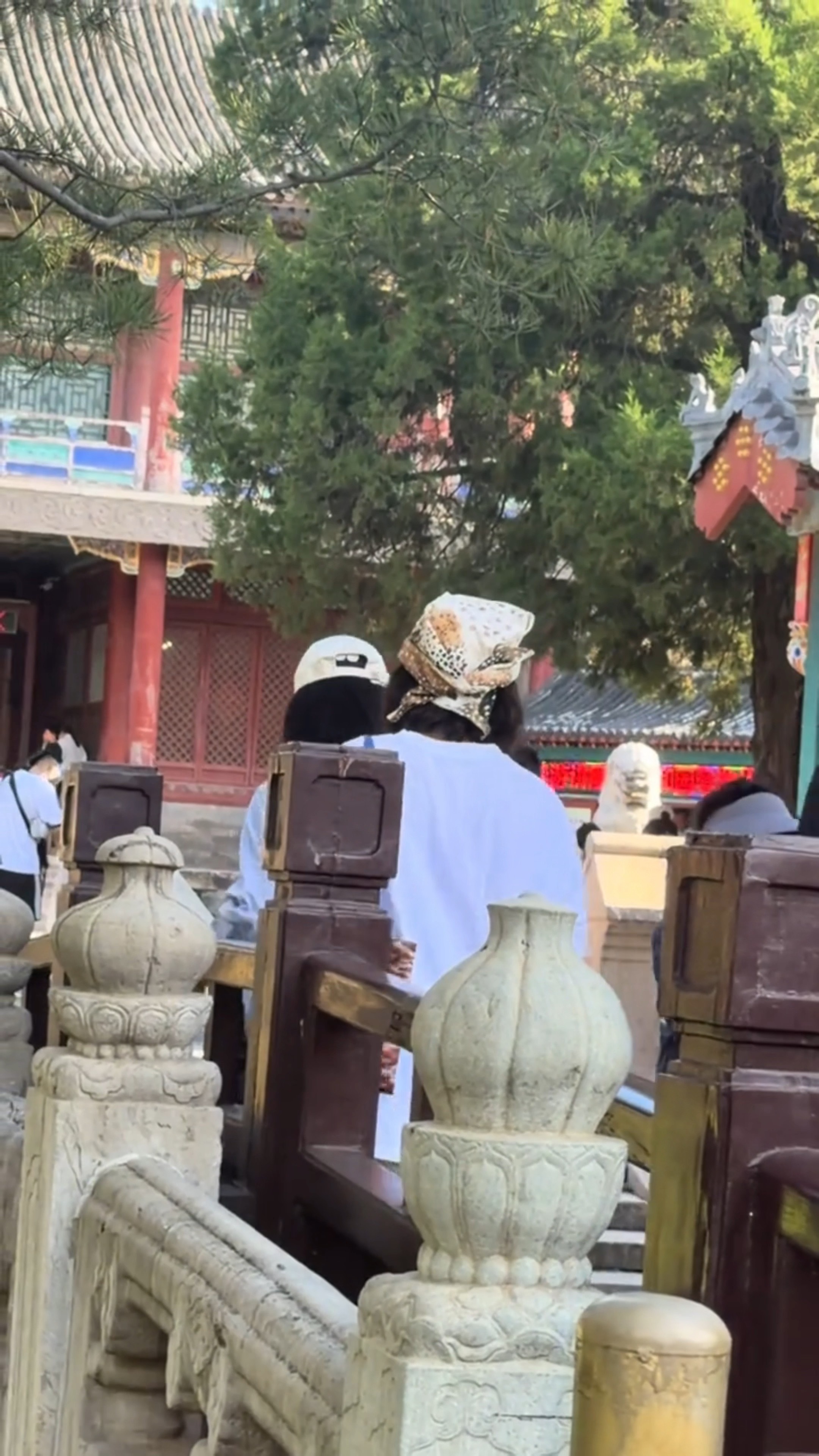 杨紫 我喜欢你 爱你 并不仅仅因为你是闪闪发光的大明星我喜欢看你的剧 你的综艺 