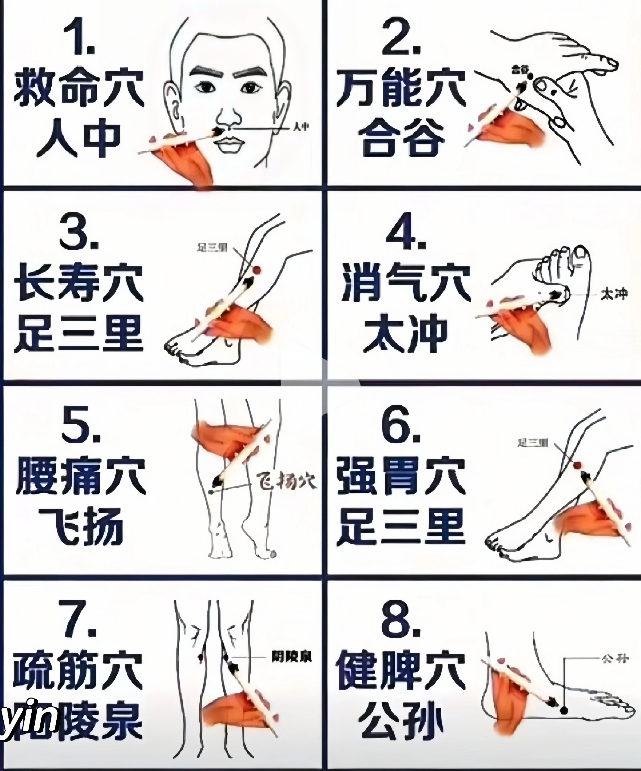 养生秘籍，这些常见穴位图鉴，建议收藏 ​​​