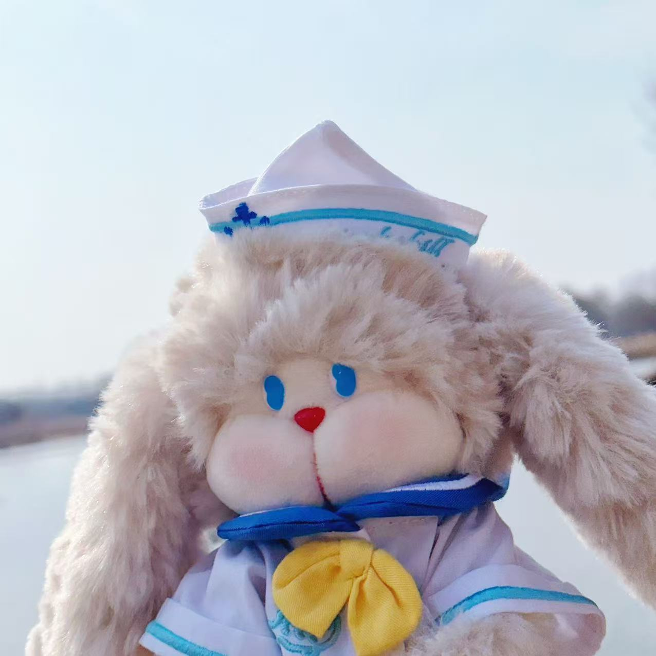 萌萌小兔🎀 ‧₊˚ 