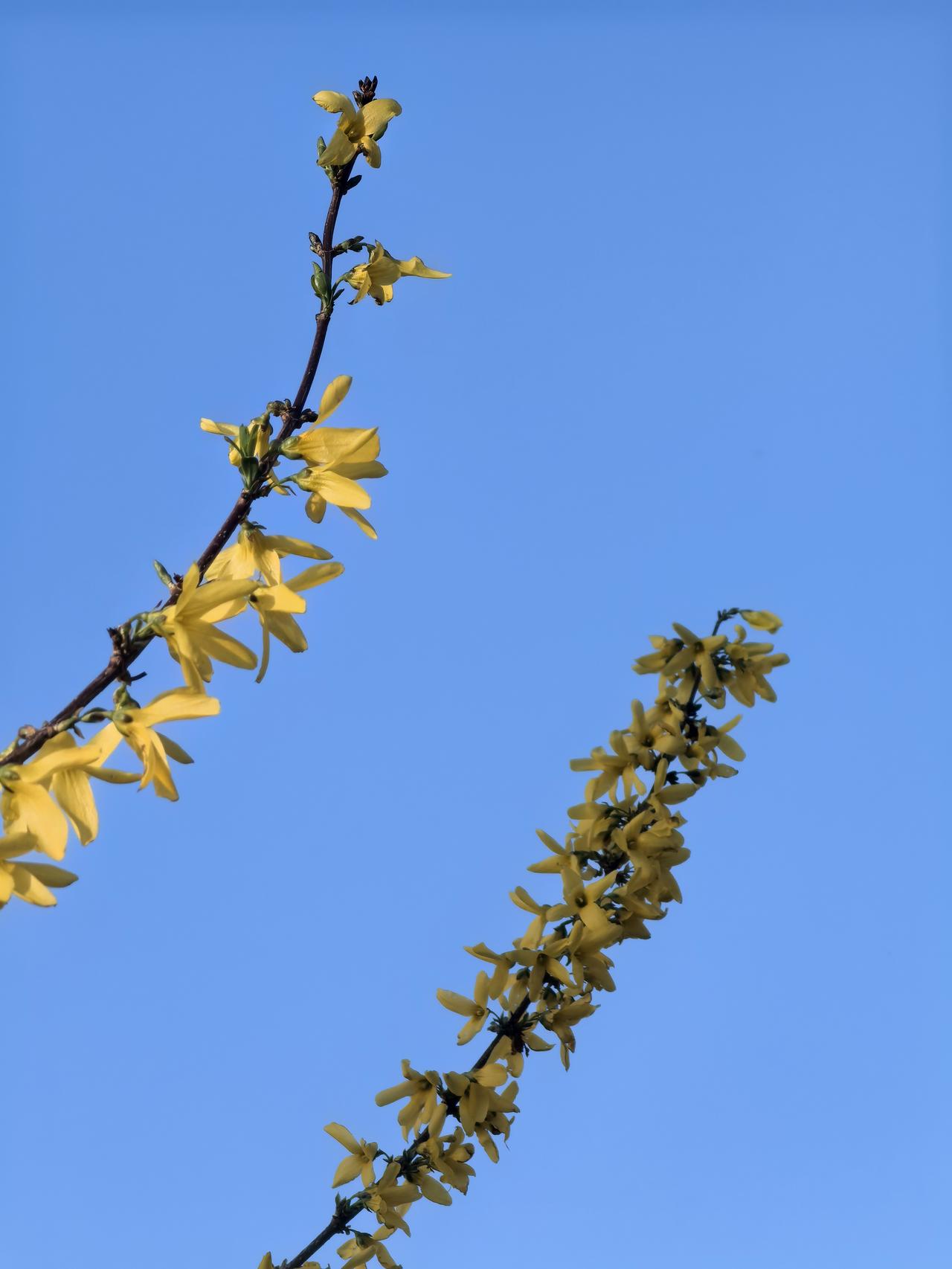 我真的不想给人算卦了。费脑费力费精神，最后还有不准的时候。
二十多年前，我跟家父