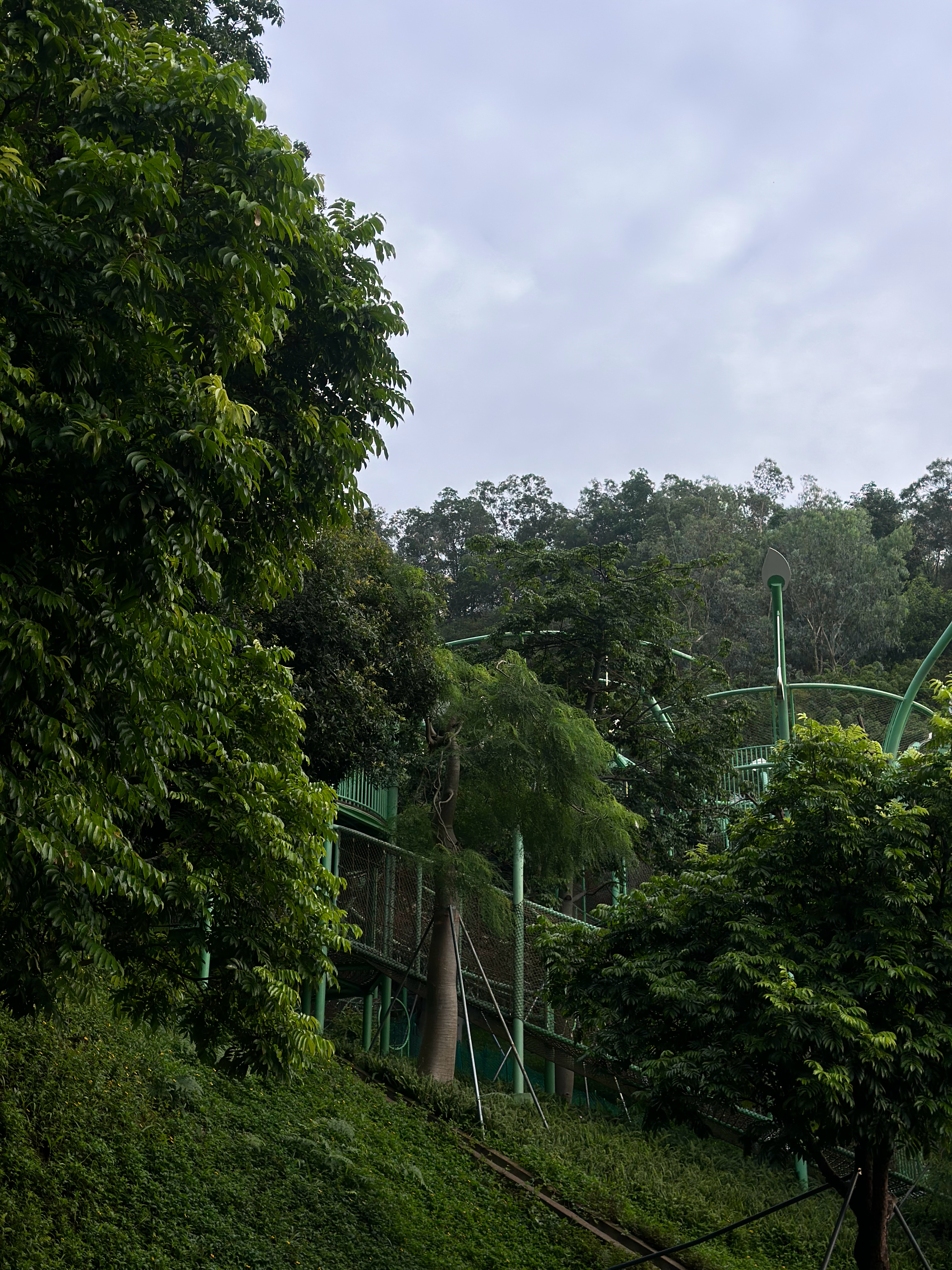 茵纳斯弗利岛 / 叶芝📷✉️听见你的声音