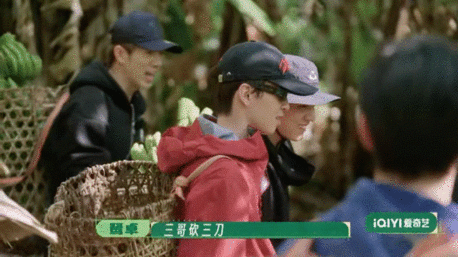 种地吧第四季开播 种地吧进藏访蕉林 种地吧谁被李耕耘砍香蕉帅到了？墨脱蕉林三刀精