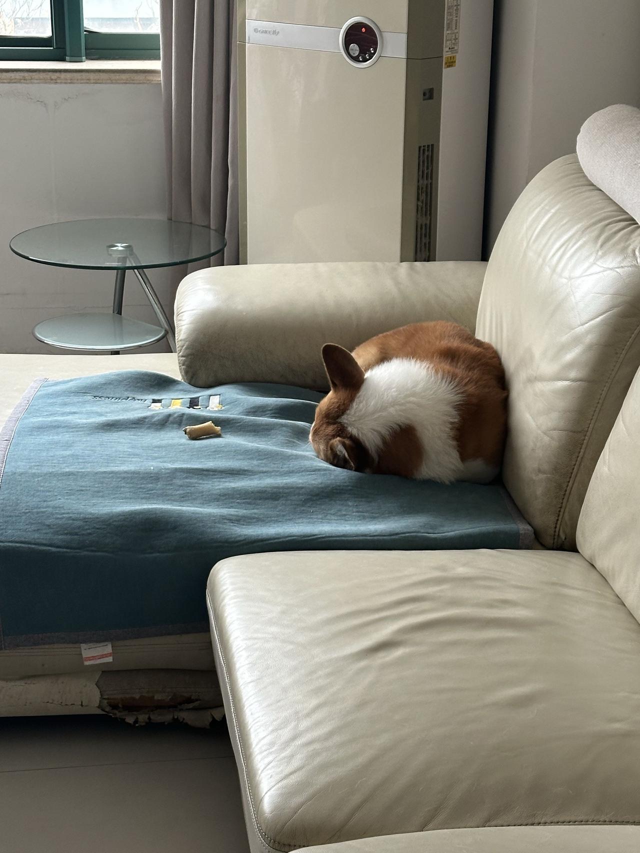 长期持有、5年以上的，建议适当配置，也可以作定投，每月定期买一点，长期持有，十年