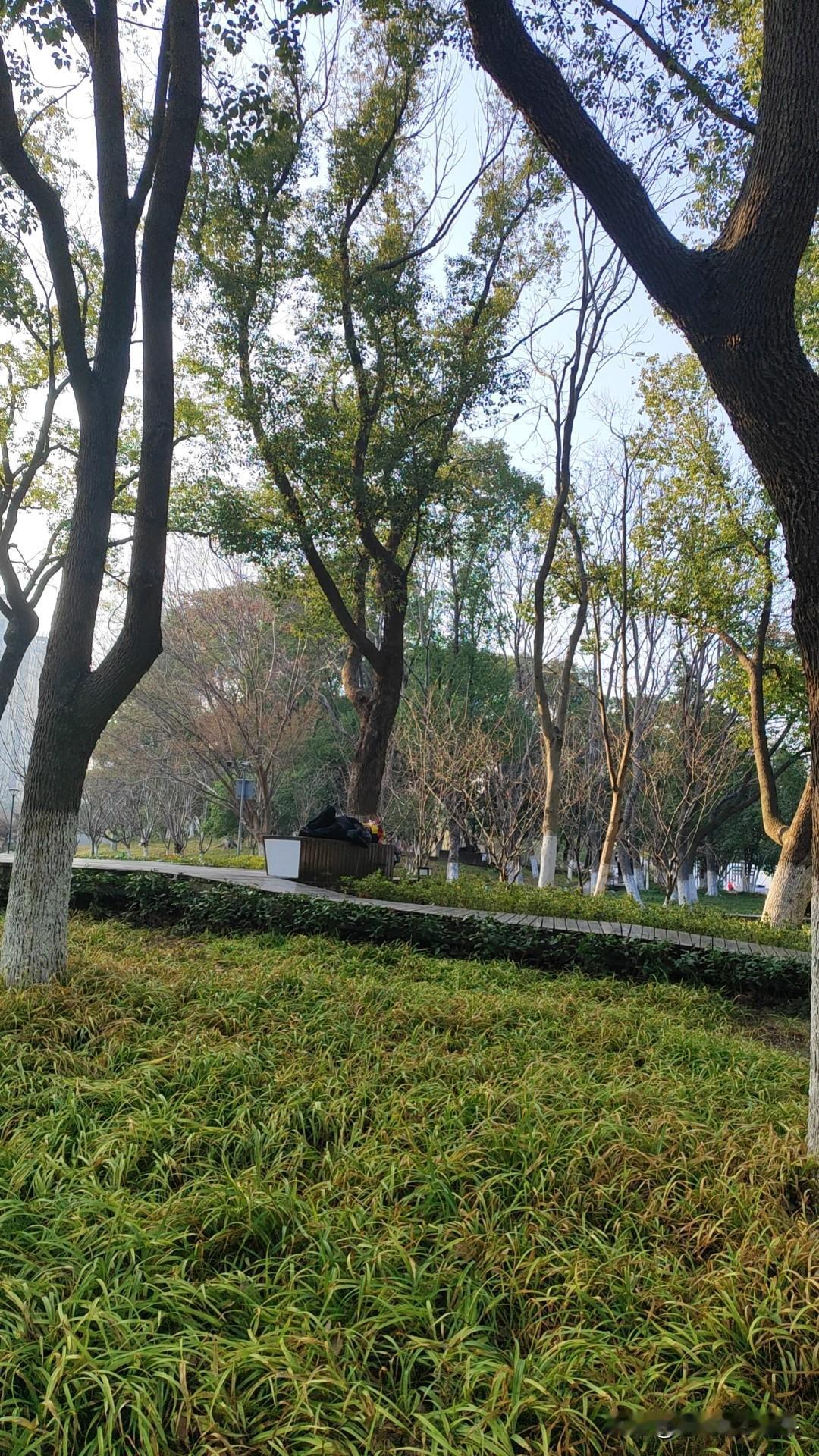 看他多悠哉？无忧无虑的一天吃饱就睡大自然当中，真自由！！！
看到这人这么悠闲自得