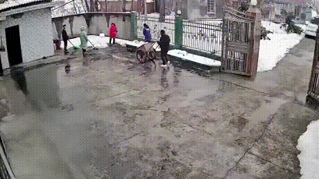 积雪危险