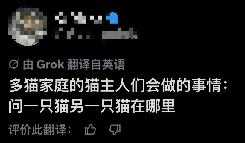哈哈哈哈哈哈哈好真实