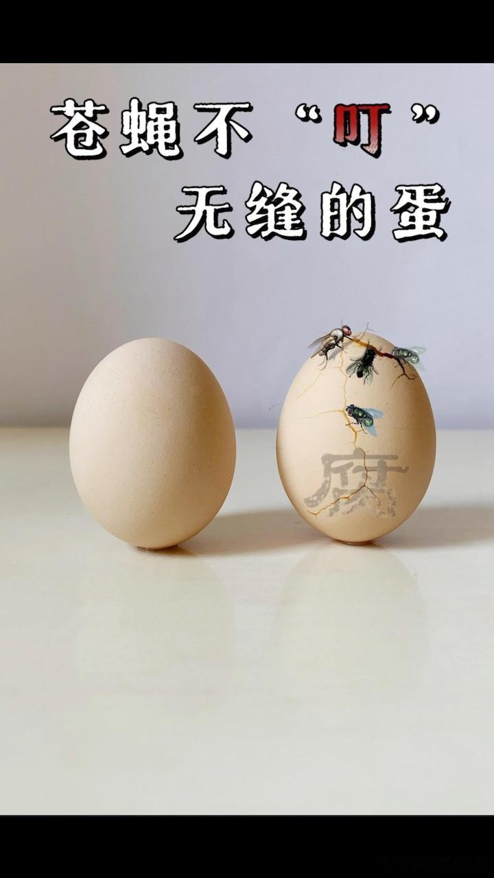 猴哥说车前妻一家怒斥小三笑死! ​​​