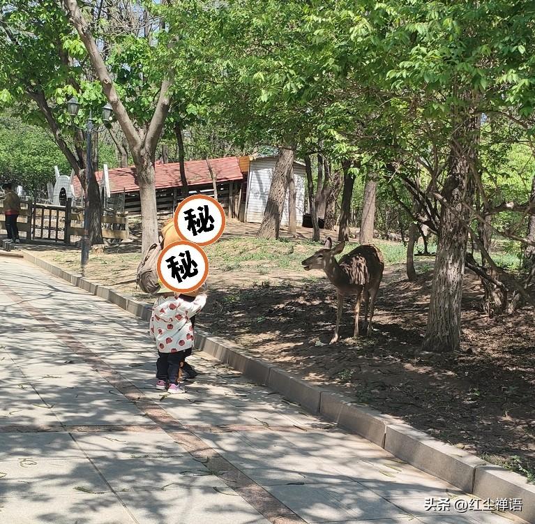 今生无法言说的遗憾

笔者作为一名小老太太，人到中年，有一个遗憾，估计今生今世无