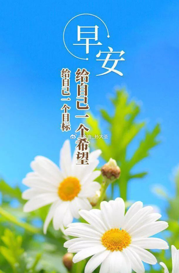 早安 伙伴们早上好 ！新周拉开序幕，机遇与挑战仍会并存，但相信坚守努力与初心，自