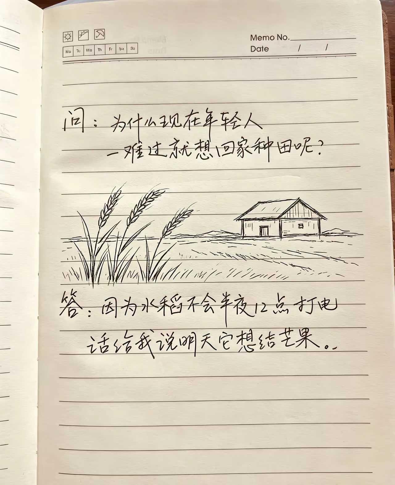 因为他们年轻，没受过种地的苦