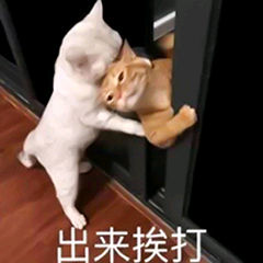 如果我是科尔看到前面这么不公平的吹罚 加上火箭今天神准第二节后半段就直接放弃当着