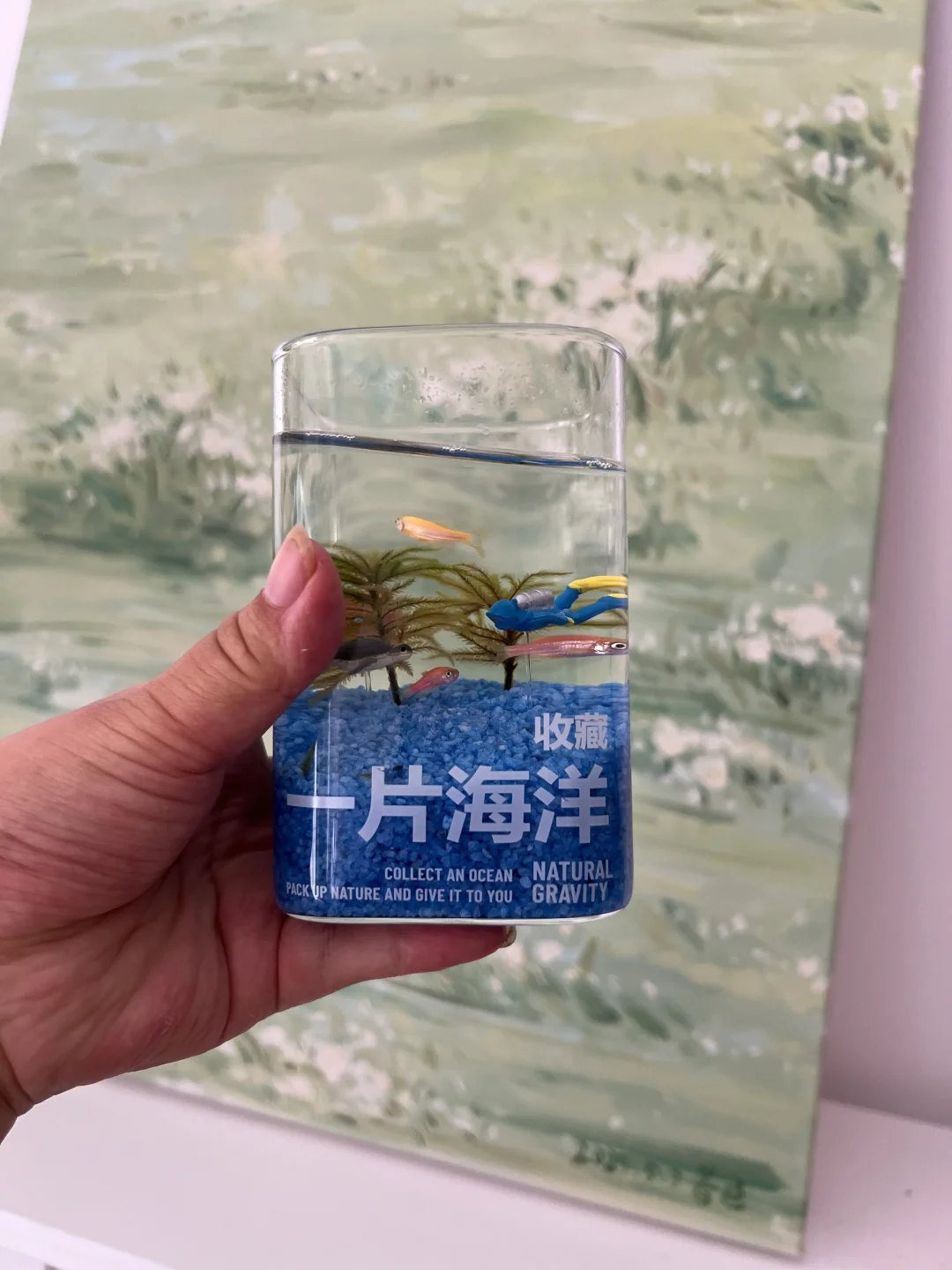 打开就不舍得送人