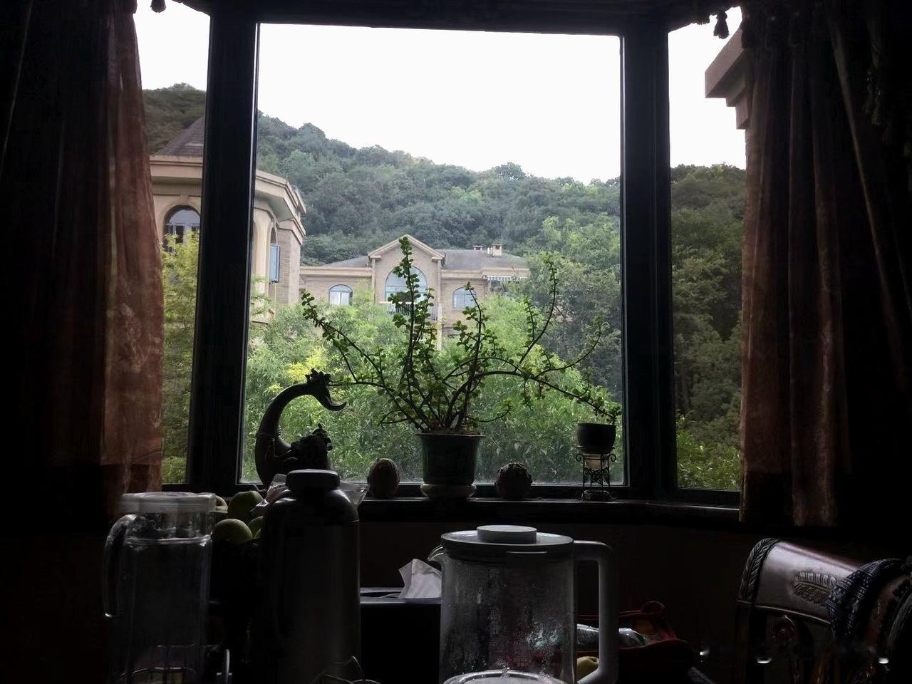 美国会被伊朗拖死。
真正拖死美国的不是伊朗，是他们自己的制度。是素来畸形的盟友体