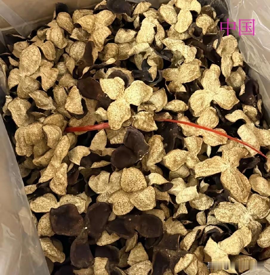 昨天去江门出差，顺路去堂妹家里吃饭。吃饭的时候堂妹说家里存了不少自家晒的陈皮，问