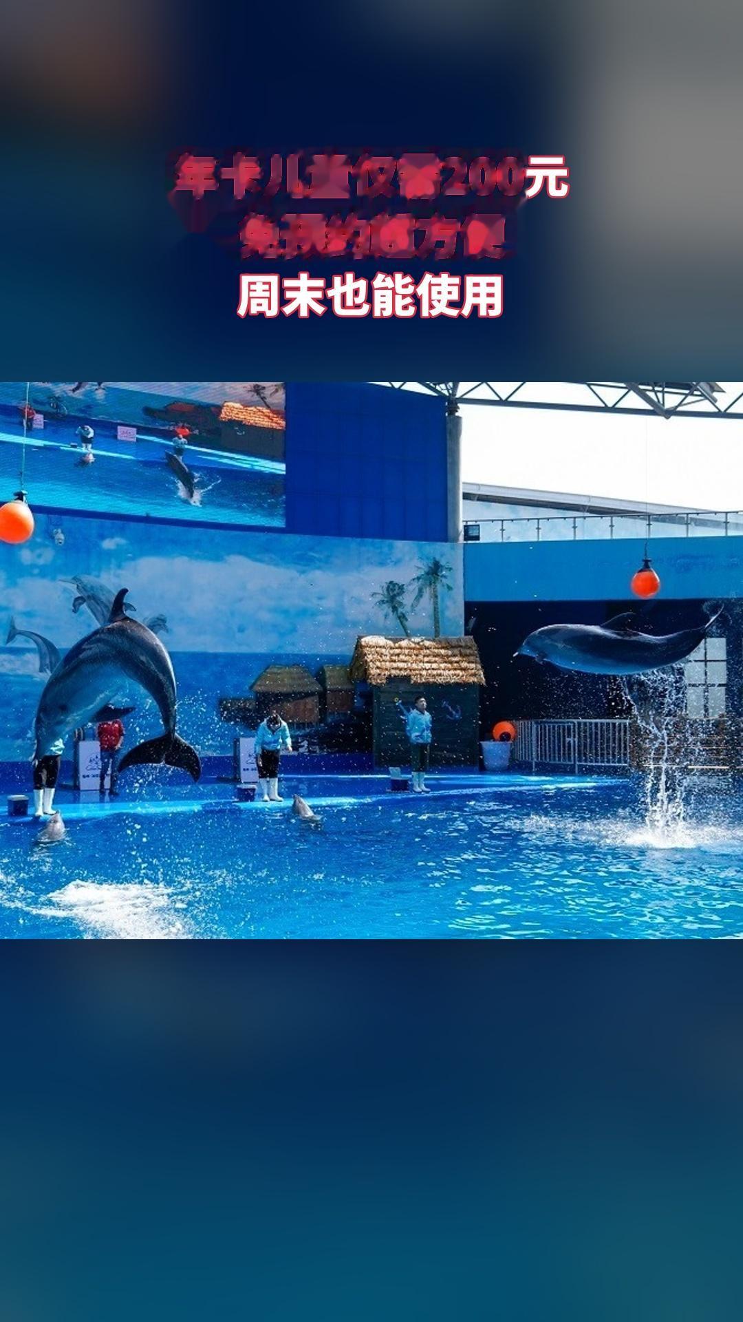 冰雪海洋世界，惊喜狂欢，4.4分推荐，年卡儿童（注意，叠加新人价后的价...