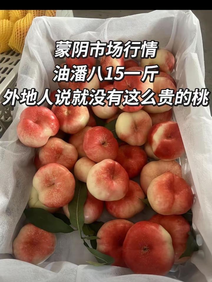6月16日，中国蜜桃之都蒙阴蜜桃市场品种“油蟠八”1斤15元，这就是品种加品质和