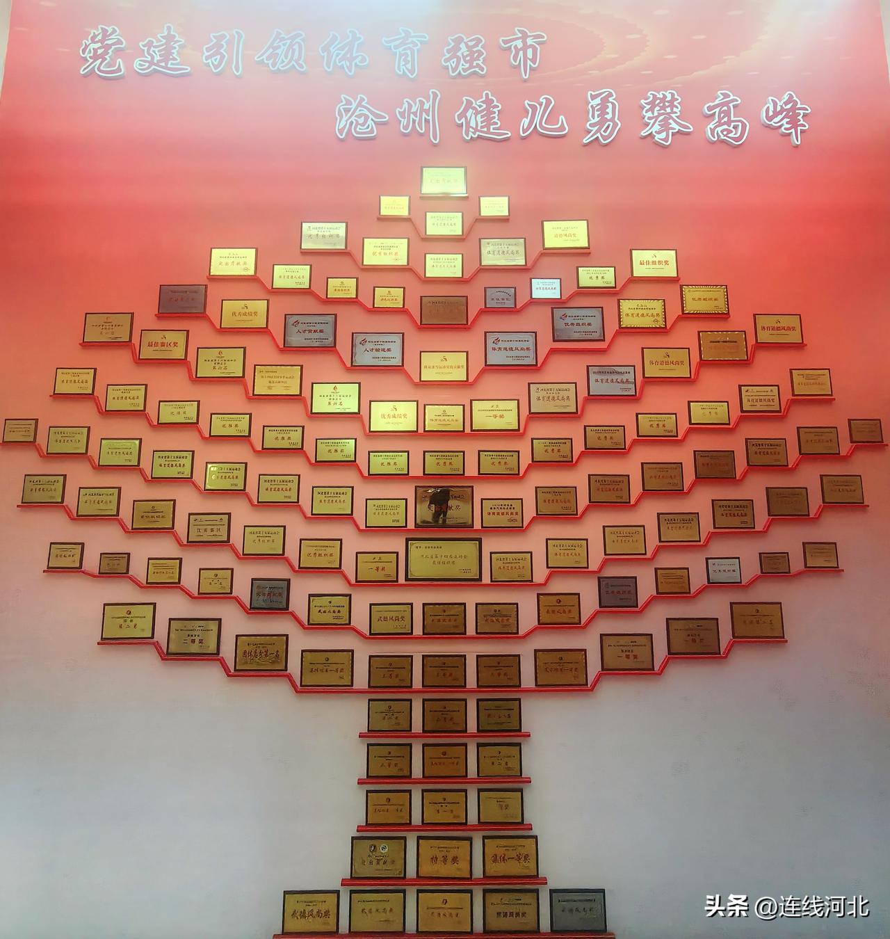【沧州打造荣誉功勋墙 见证体育健儿拼搏之路】走进沧州市体育局，一面独具意义的荣誉