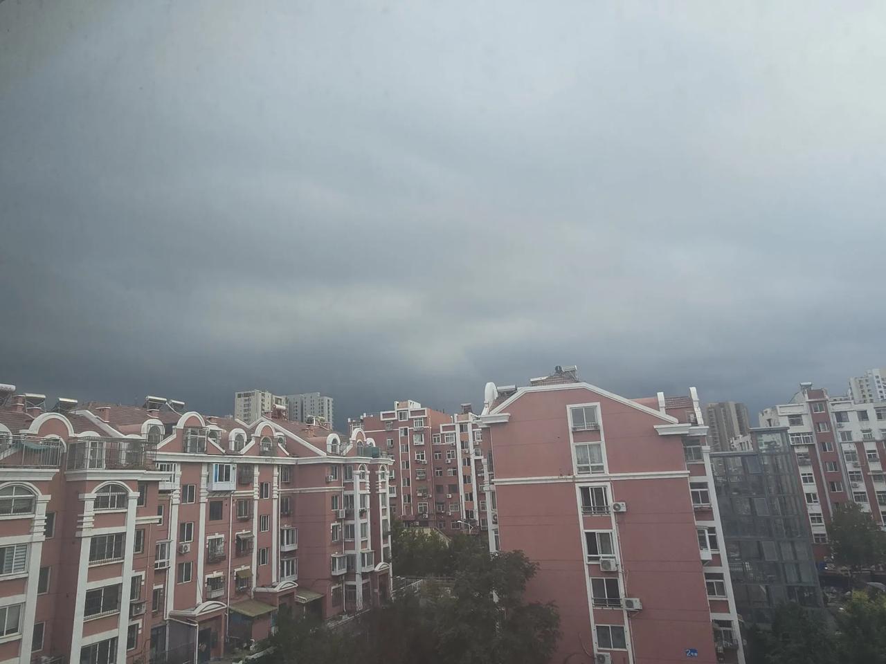 王铎：今天下午上雨了
朋友们，青岛老市区，今天下午上雨了。这里是台东民间天气预报