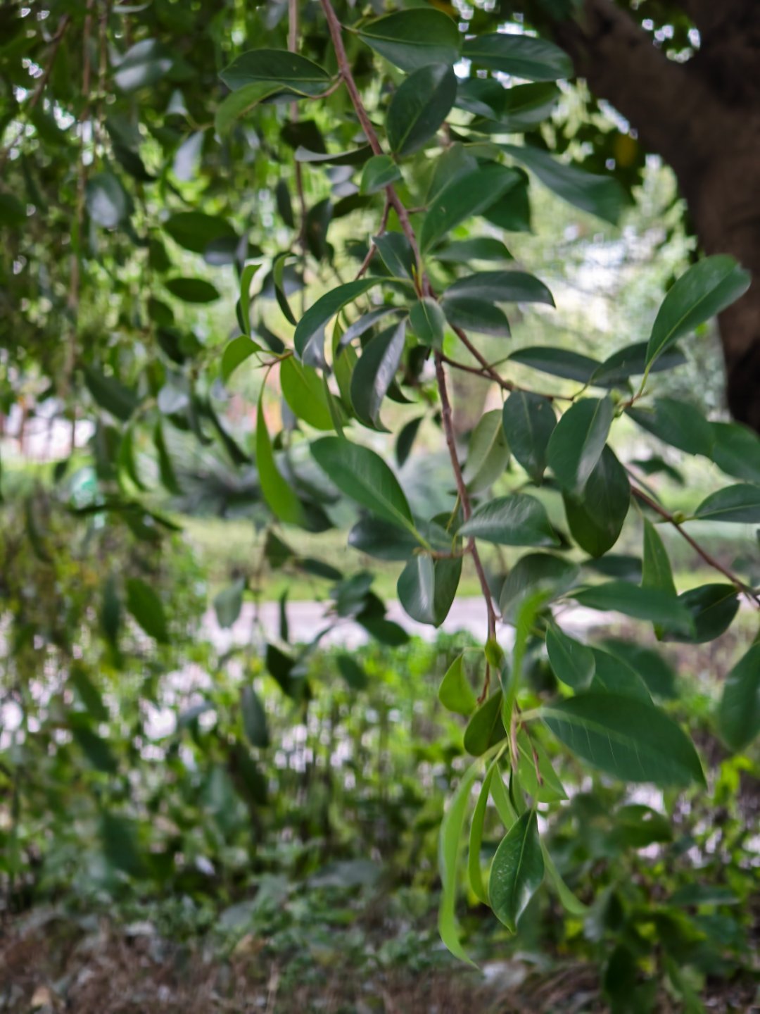 早上骑车忘带手套了，好冷