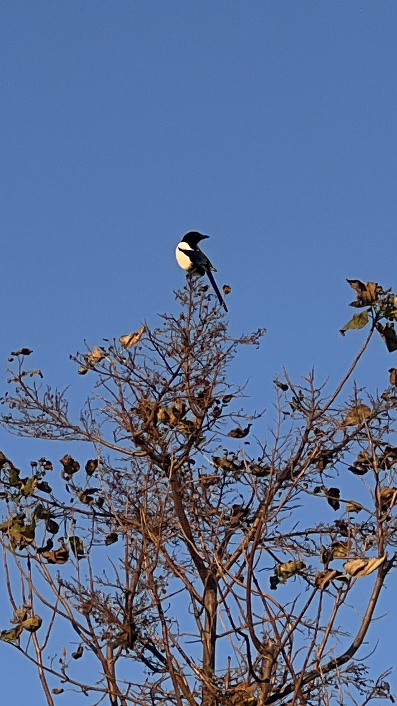 随手拍张图，分享美好瞬间