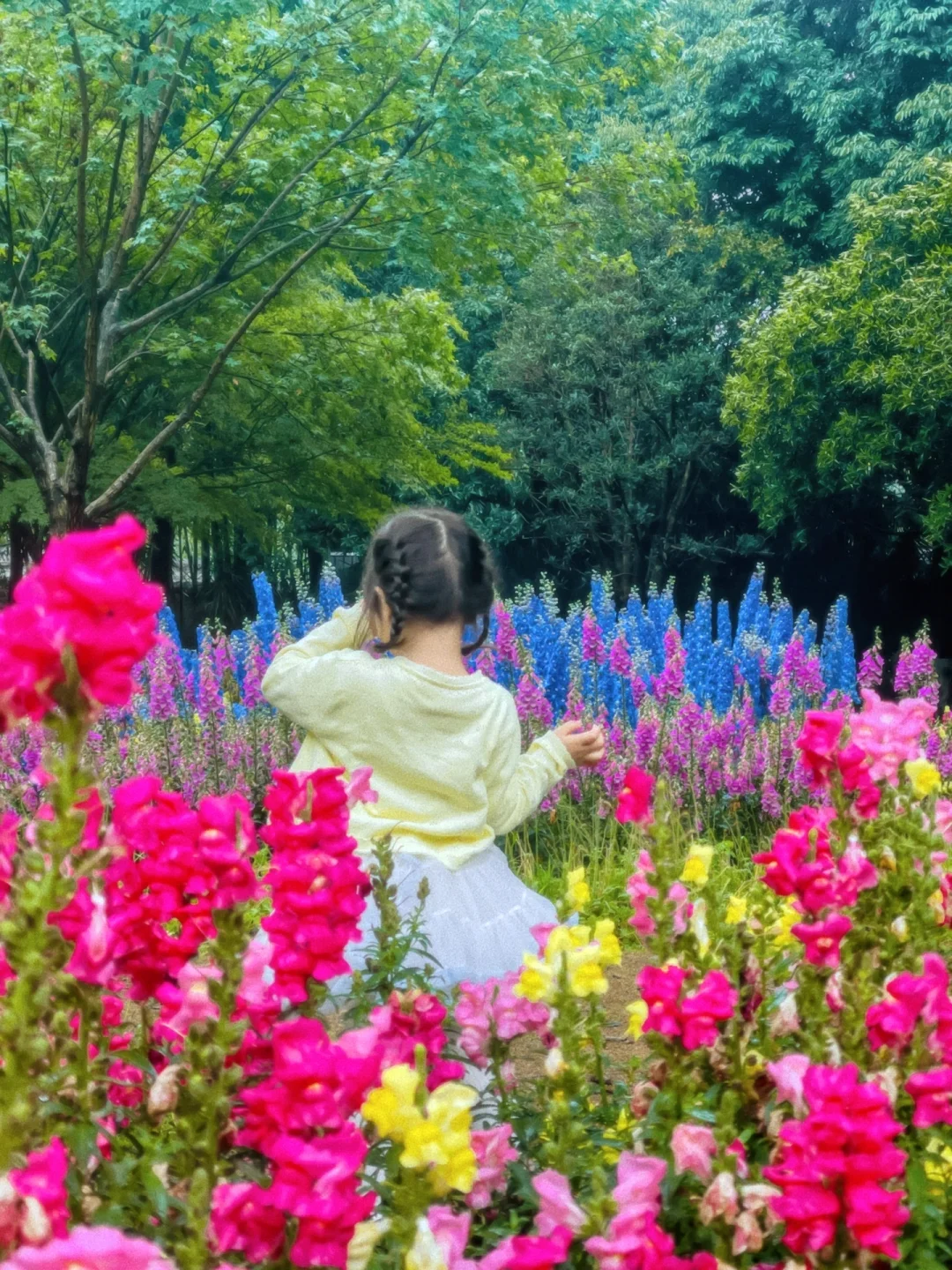 成都遛娃✅｜藏在市中心的莫奈花园，地铁直达~