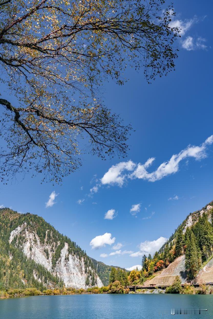 炒股，归根到底就三件事：

买得对，

拿得住，

卖得准。

买得对：是能力基