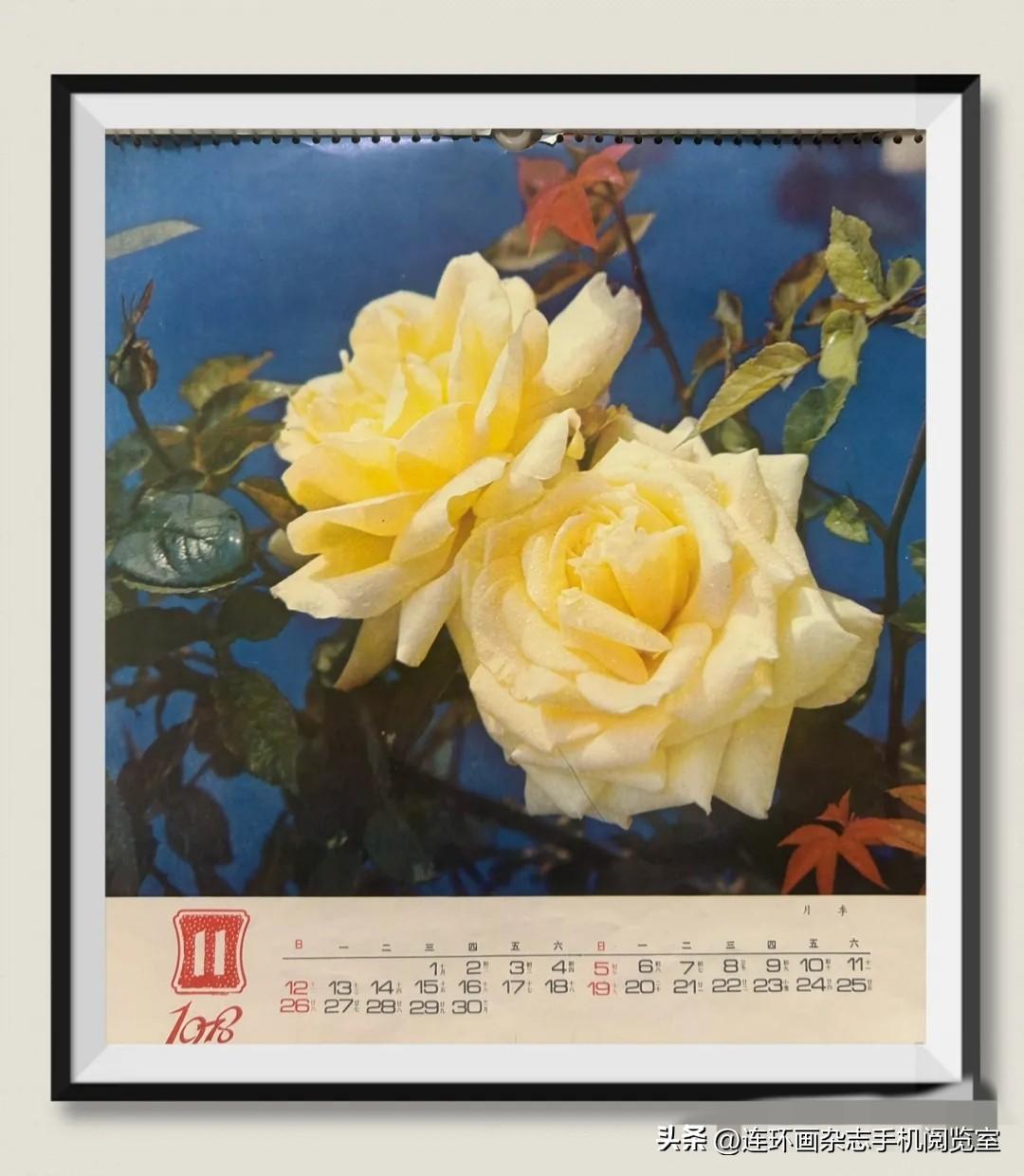 花卉人物风景老挂历01