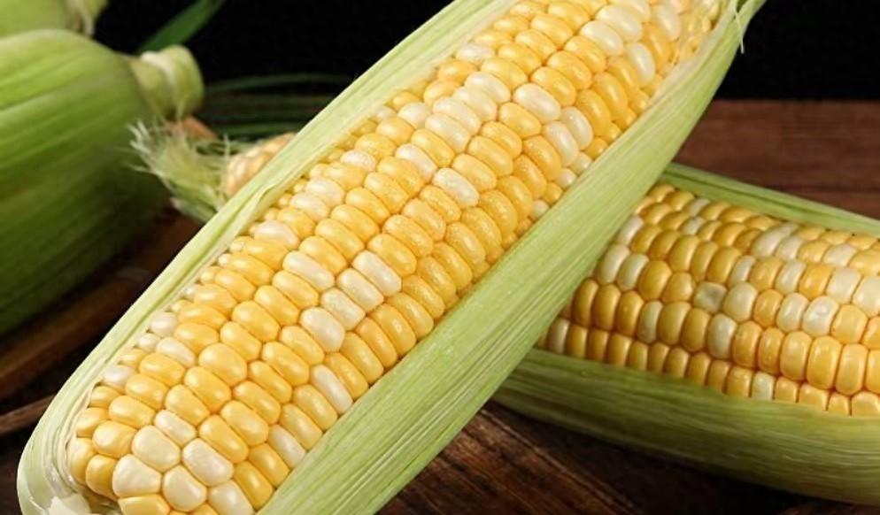为什么玉米被认为是“外星植物”？大部分人都不知道，全球玉米年产12，亿吨，但地球