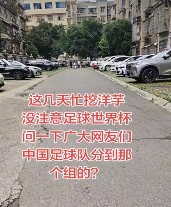 这几天忙着挖洋芋，连刷手机的空都没有，没注意到足球世界杯都开赛好几天了。我想问一