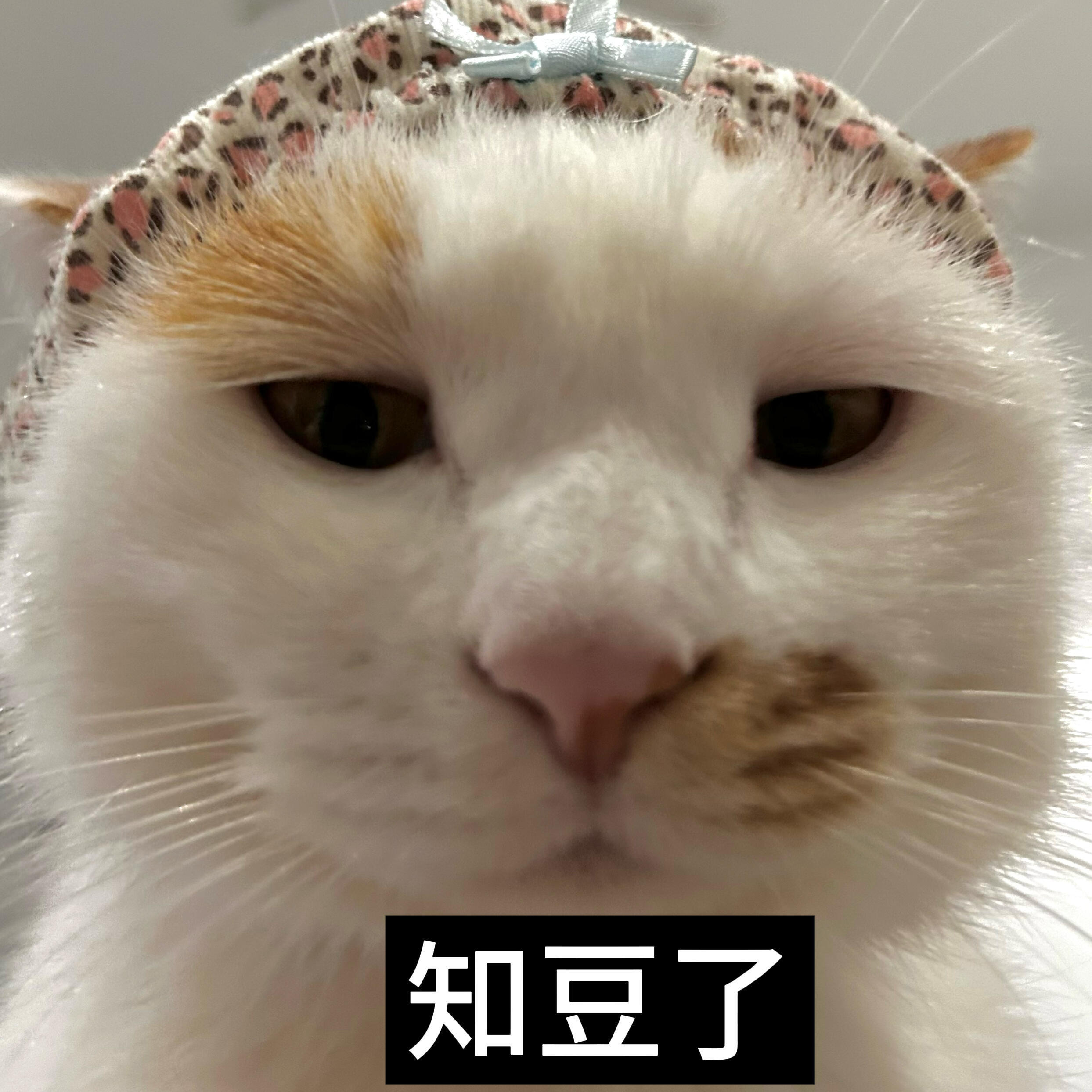 羽毛球降价原因价格是由供求关系决定的，玩的人少了，或者生产厂家多了 