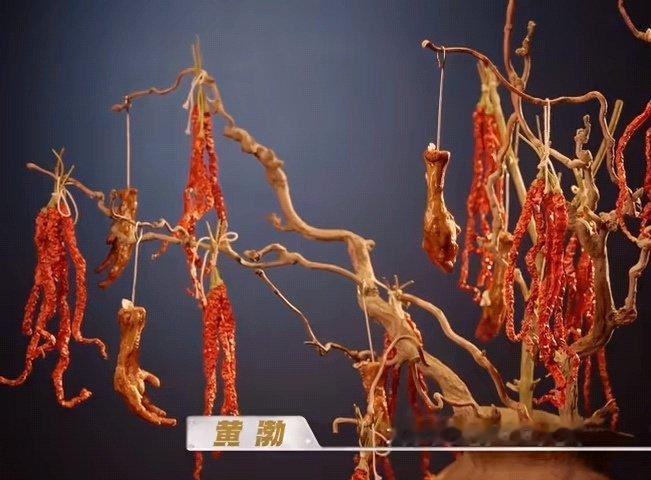 黄渤这是鸡的挑衅不是极限挑战 黄渤马頔被鸡爪耍了 天才厨人 像老婆饼没老婆，鸡爪