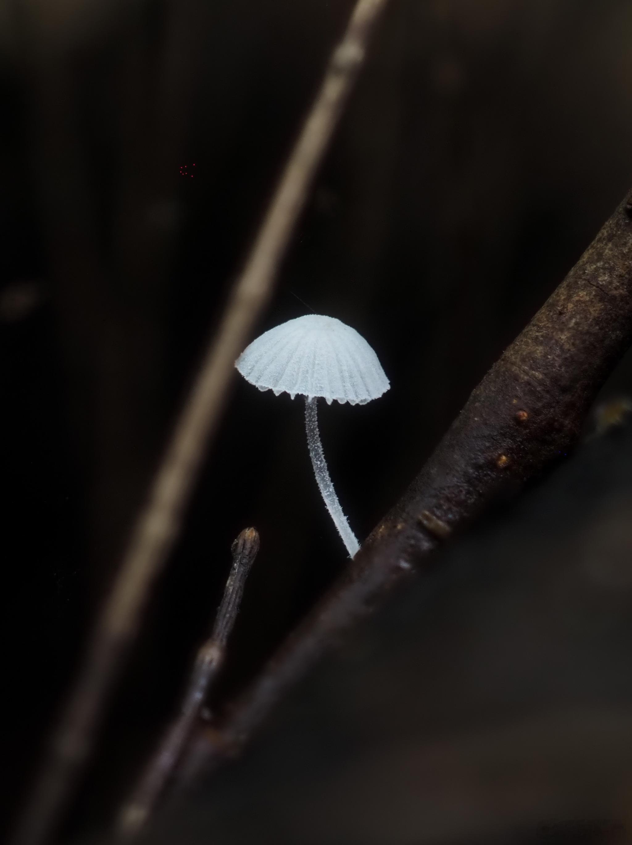 有些人，不是你忘不了，而是你不願意忘。這不是執著，而是一種沒完成的對話——說不清